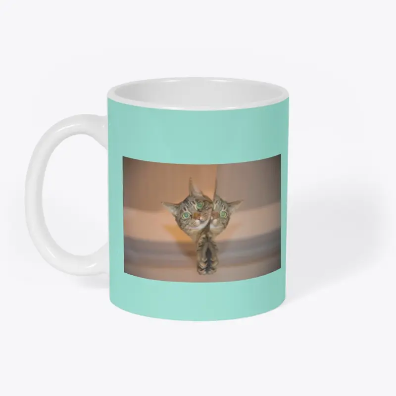 Funny Cat in the Mirror Coffee Mug